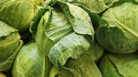 jilly juice|Woman Who Claims Cabbage Juice 'Cures' Autism and Can .